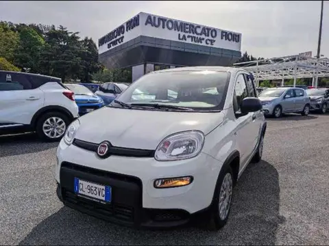 Used FIAT PANDA Hybrid 2022 Ad 