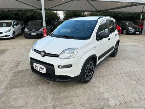 Used FIAT PANDA Petrol 2021 Ad 