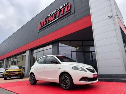 Used LANCIA YPSILON LPG 2024 Ad 