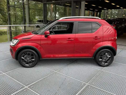 Annonce SUZUKI IGNIS Hybride 2024 d'occasion 