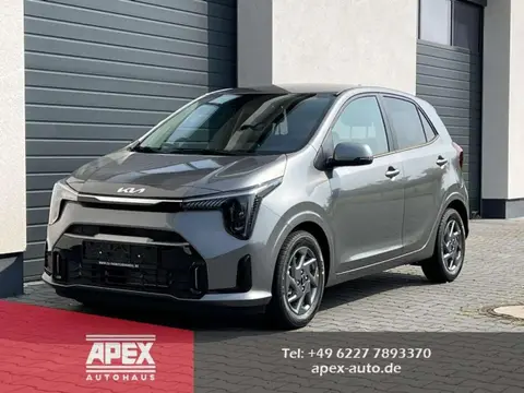 Annonce KIA PICANTO Essence 2024 d'occasion 