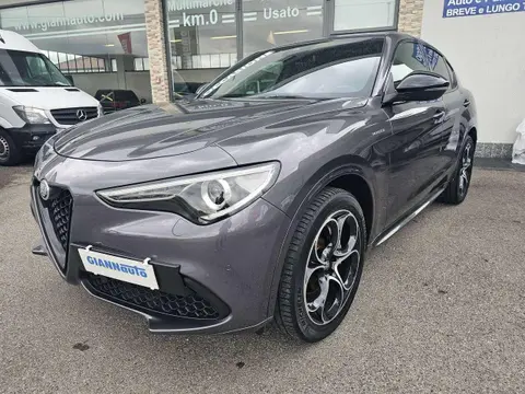 Used ALFA ROMEO STELVIO Petrol 2022 Ad 