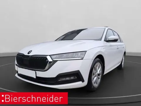 Used SKODA OCTAVIA Hybrid 2022 Ad 