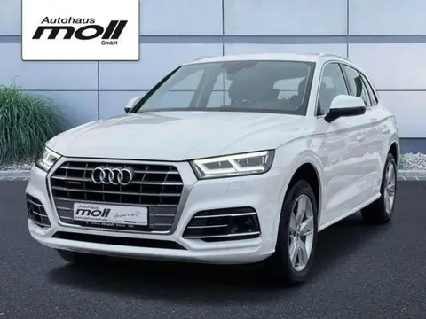 Used AUDI Q5 Diesel 2020 Ad 