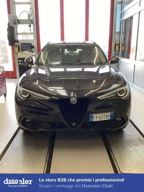 Used ALFA ROMEO STELVIO Diesel 2019 Ad 