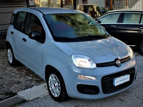 Used FIAT PANDA Petrol 2019 Ad 