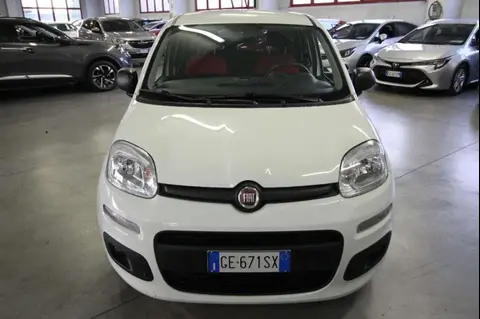 Used FIAT PANDA Hybrid 2021 Ad 