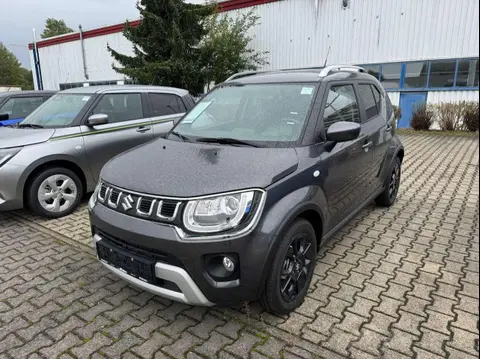 Used SUZUKI IGNIS Petrol 2024 Ad 