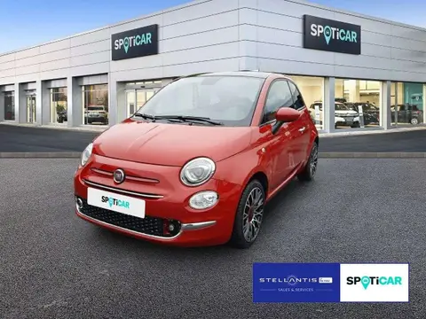 Used FIAT 500 Petrol 2023 Ad 