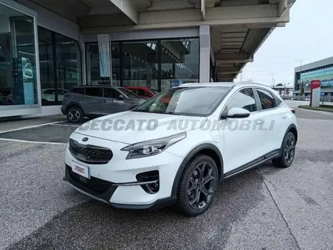 Annonce KIA XCEED Hybride 2021 d'occasion 