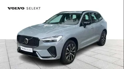 Annonce VOLVO XC60 Diesel 2023 d'occasion 