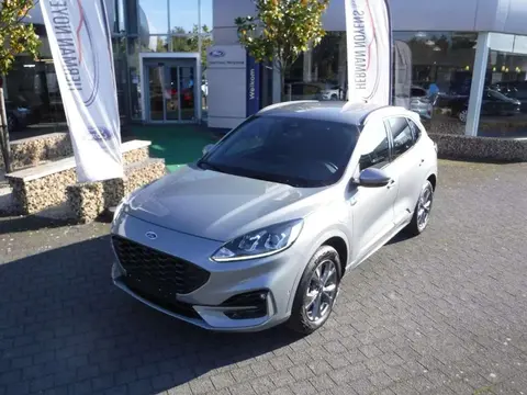 Used FORD KUGA Petrol 2023 Ad 