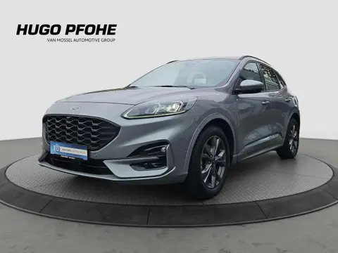 Used FORD KUGA Diesel 2023 Ad 