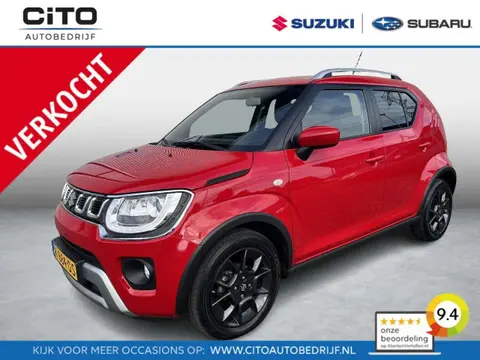 Annonce SUZUKI IGNIS Hybride 2020 d'occasion 