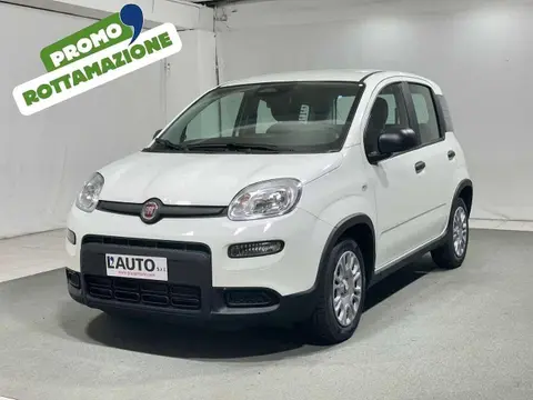 Annonce FIAT PANDA Hybride 2024 d'occasion 