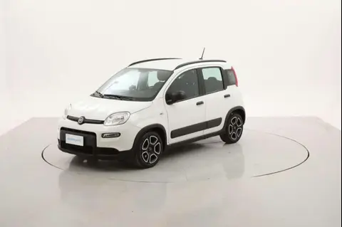 Annonce FIAT PANDA Hybride 2022 d'occasion 