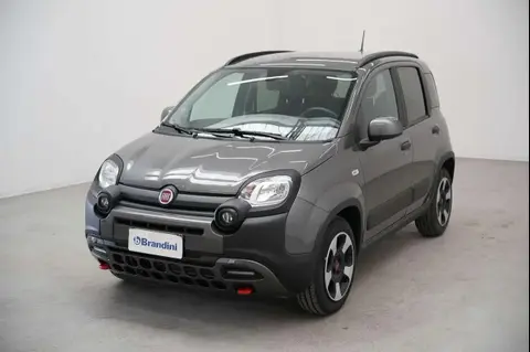 Used FIAT PANDA Hybrid 2023 Ad 