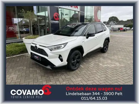 Annonce TOYOTA RAV4 Hybride 2019 d'occasion 