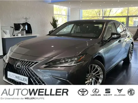 Used LEXUS ES Hybrid 2023 Ad 