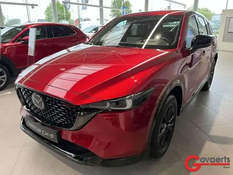 Annonce MAZDA CX-5 Essence 2024 d'occasion 