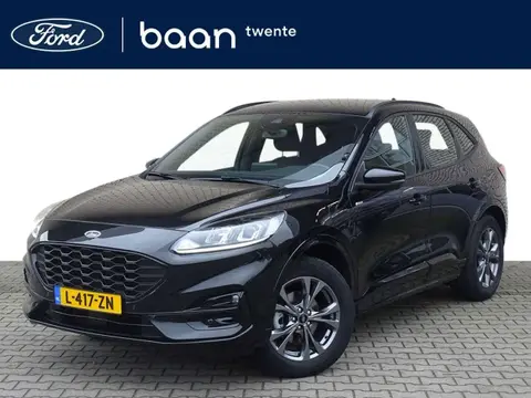 Annonce FORD KUGA Hybride 2021 d'occasion 