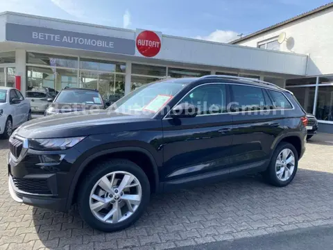 Used SKODA KODIAQ Petrol 2023 Ad Germany