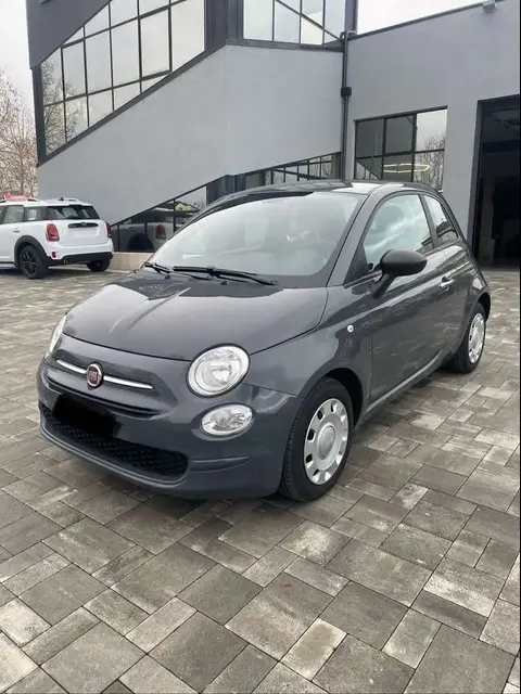 Used FIAT 500 Petrol 2019 Ad 