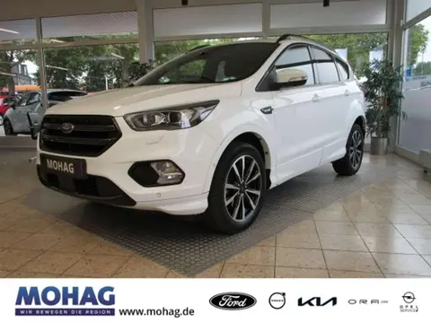 Annonce FORD KUGA Essence 2019 d'occasion 