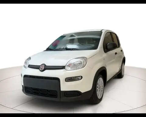 Annonce FIAT PANDA Essence 2024 d'occasion 