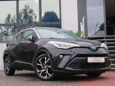 Used TOYOTA C-HR Hybrid 2020 Ad 