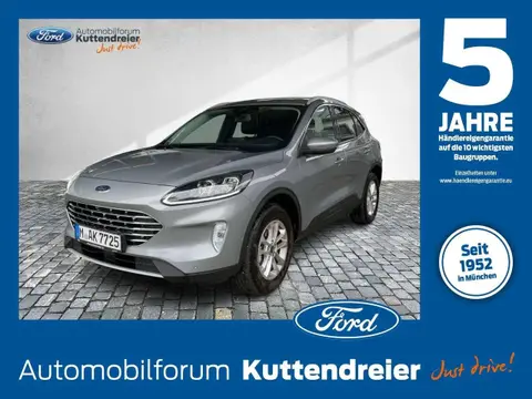 Annonce FORD KUGA Hybride 2024 d'occasion 