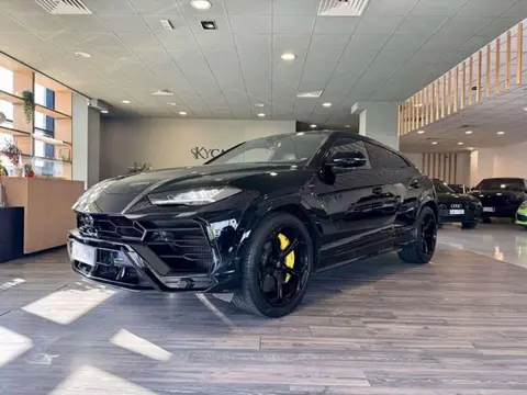 Used LAMBORGHINI URUS Petrol 2021 Ad 