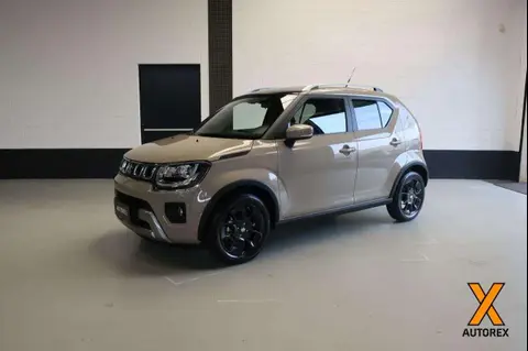 Used SUZUKI IGNIS Hybrid 2024 Ad 