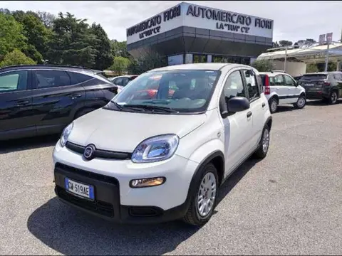 Used FIAT PANDA Hybrid 2024 Ad 