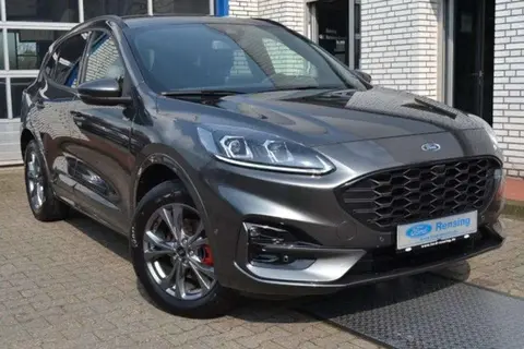 Used FORD KUGA Hybrid 2023 Ad 