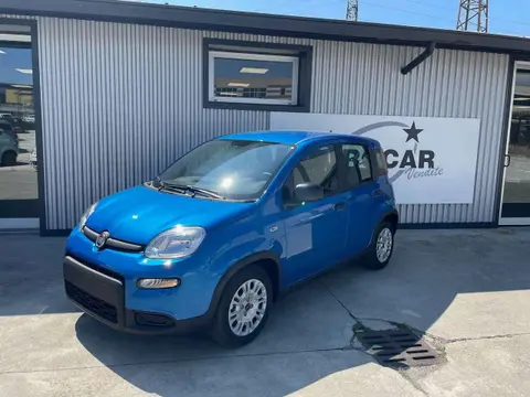 Used FIAT PANDA Hybrid 2024 Ad 