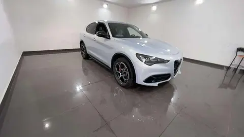 Used ALFA ROMEO STELVIO Diesel 2024 Ad 