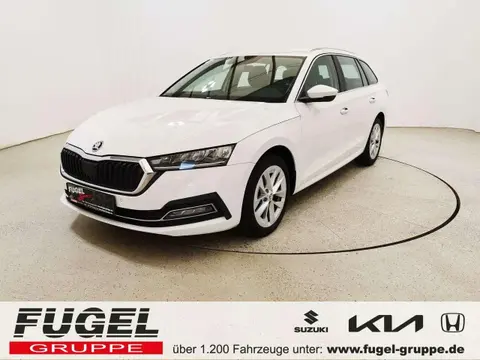 Annonce SKODA OCTAVIA Diesel 2021 d'occasion 