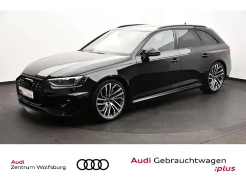 Used AUDI RS4 Petrol 2024 Ad 