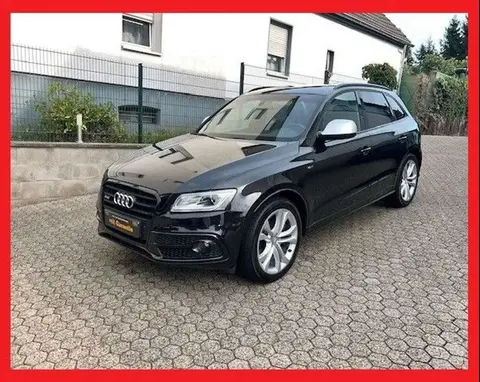 Annonce AUDI SQ5 Diesel 2015 d'occasion 