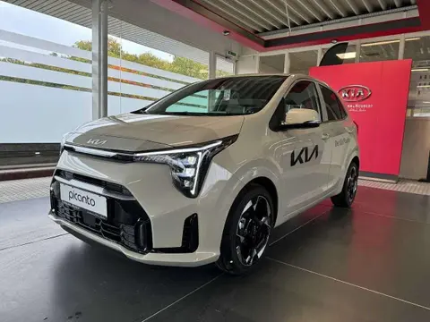 Used KIA PICANTO Petrol 2024 Ad 