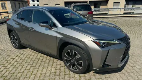 Used LEXUS UX Hybrid 2020 Ad 