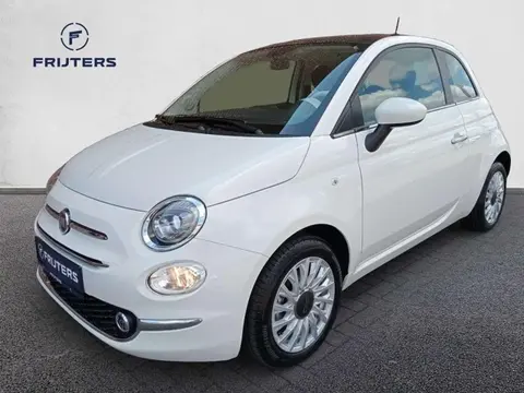 Annonce FIAT 500 Hybride 2024 d'occasion Belgique