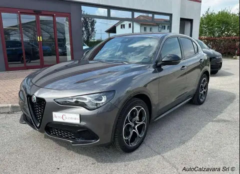 Annonce ALFA ROMEO STELVIO Diesel 2024 d'occasion 