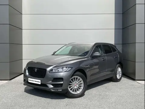 Used JAGUAR F-PACE Diesel 2018 Ad 