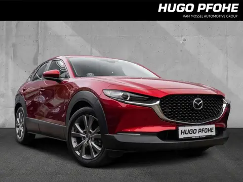 Annonce MAZDA CX-30 Essence 2020 d'occasion 