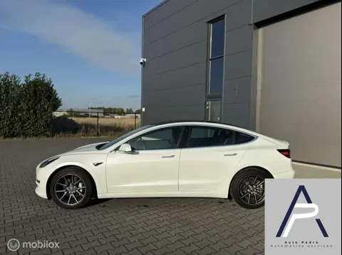 Used TESLA MODEL 3 Electric 2019 Ad 