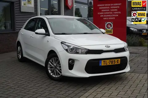 Used KIA RIO Petrol 2018 Ad 