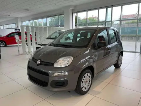 Annonce FIAT PANDA Hybride 2022 d'occasion 