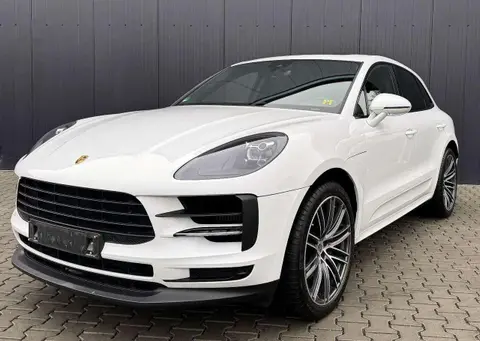 Used PORSCHE MACAN Petrol 2019 Ad 